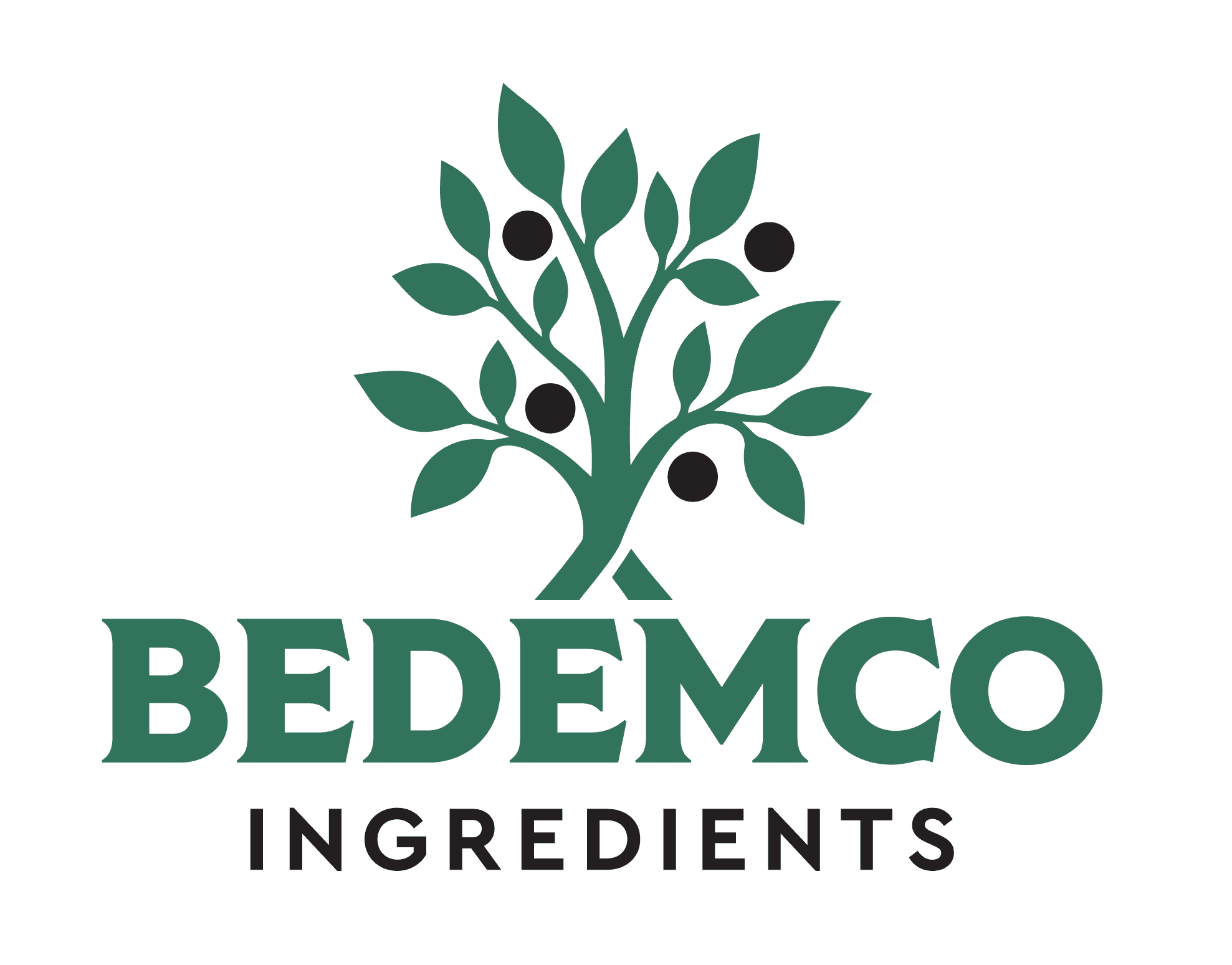 Bedemco