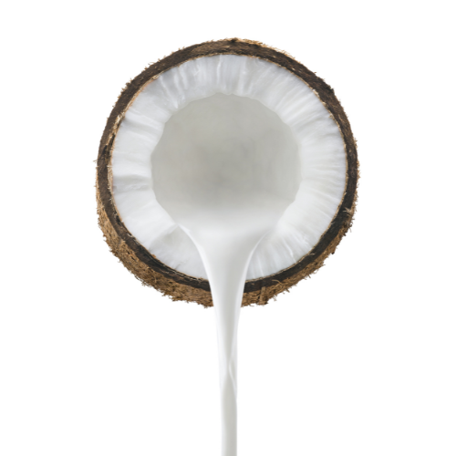 Coconut