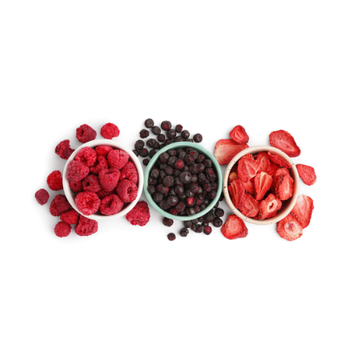 Freeze Dried Fruit & Vegetable