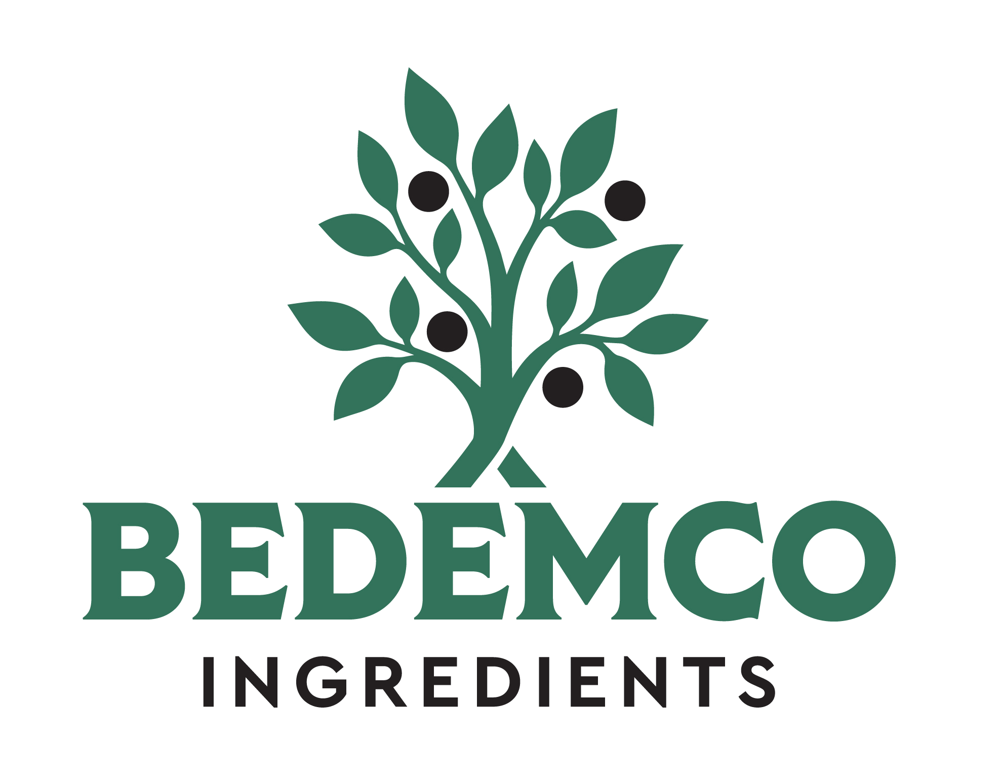 Bedemco