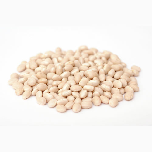 navy-beans